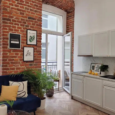 Narutowicza 41 公寓 罗兹