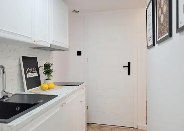 公寓 Narutowicza 41 罗兹